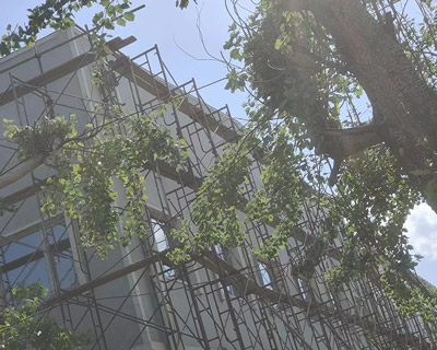 沈陽懸吊腳手架出租